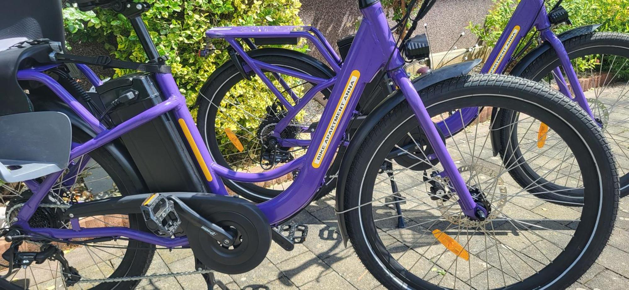 Zwei Schlafzimmer Ferienapartment Anna Am Stubenbergsee Inklusive Vier E-Bikes المظهر الخارجي الصورة