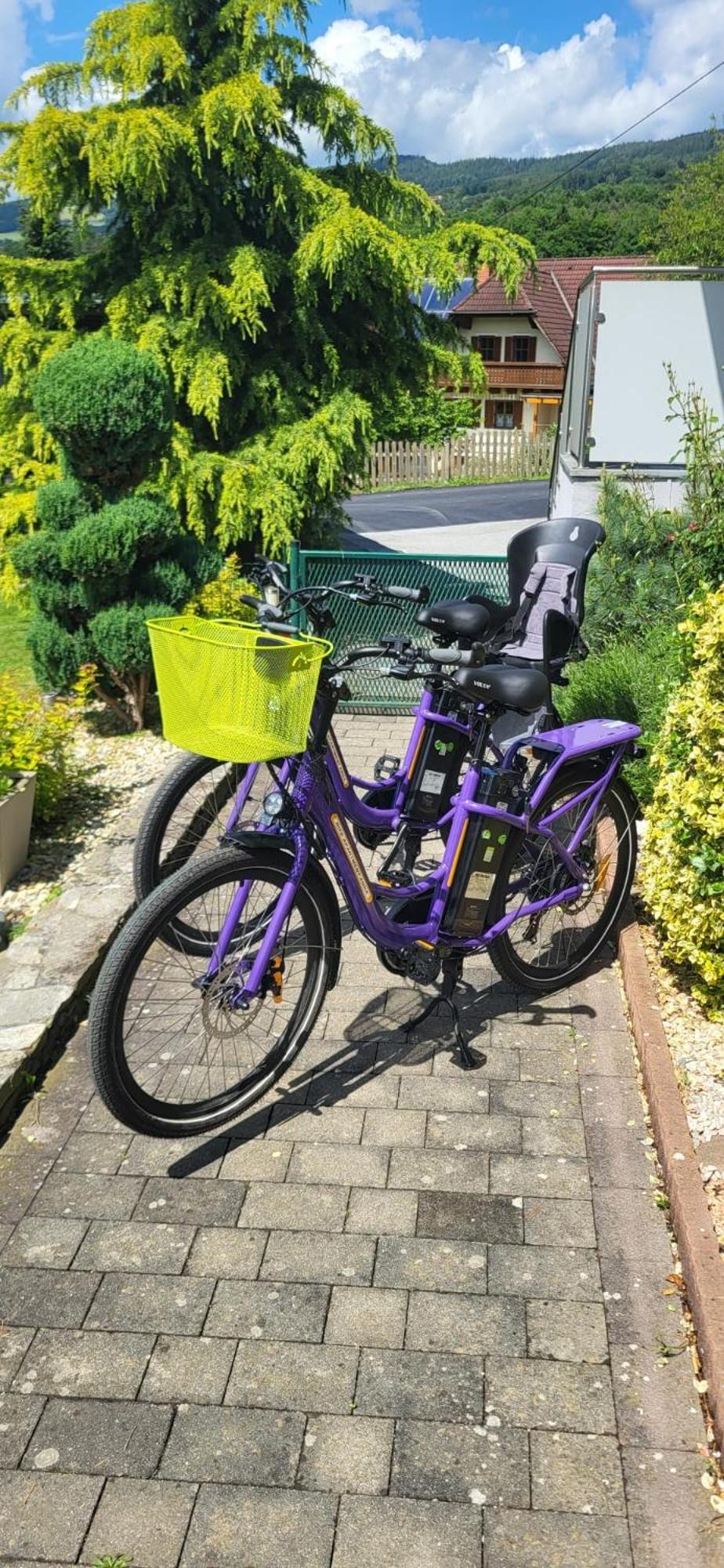 Zwei Schlafzimmer Ferienapartment Anna Am Stubenbergsee Inklusive Vier E-Bikes المظهر الخارجي الصورة